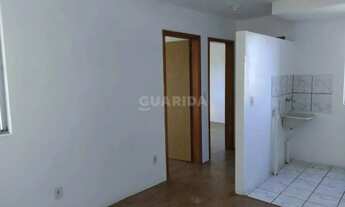Imagem 3: Apartamento com 2 dormitórios no bairro Hípica