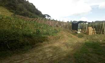 Imagem 6: Vendo Sítio em Maria Mendonça, 4 Distrito, Trajano de Moraes