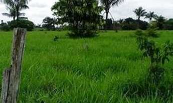 Imagem 3: Uma Fazenda em Parecis-Ro