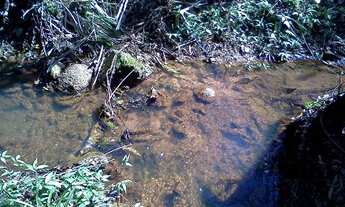 Imagem 2: Fazenda 15 Alqueires em Catuji/MG, a 60 km de Teófilo Otoni-MG