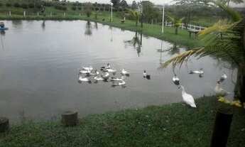 Imagem 4: Anne Araújo- Carta de crédito