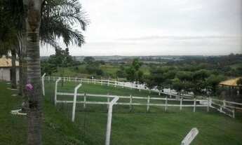 Imagem 6: Anne Araújo- Carta de crédito