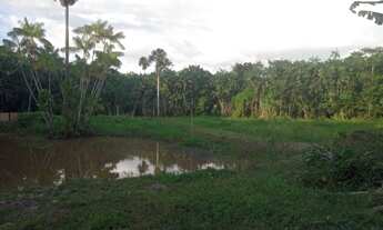 Imagem 3: CHÁCARA COM 37.000 M² NO MARACANÃ