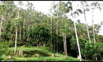 Imagem 6: FAZENDA BAIXA/MEDIA - LEITE/CORTE  FRENTE AO ASFALTO  SILVEIRAS - SP