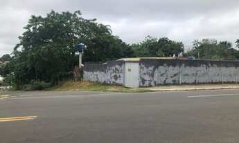 Imagem 3: Vendo casa na 25 de Agosto em CZS