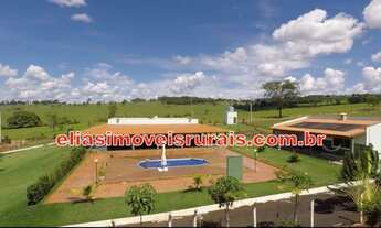 Imagem 4: Chácara luxo - Apenas 9 km de Uberlândia