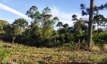 Imagem 4: Permuta Terreno Caximba 9.000m² Estrada Delegado Bruno Almeida, asfalto, troca permuta
