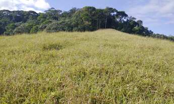 Imagem 5: Propriedade 4 alqueires