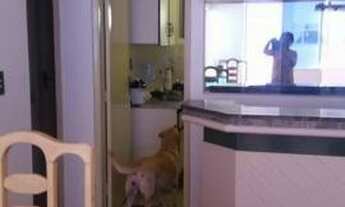 Imagem 5: Apartamento 3 quartos com suíte - Barra