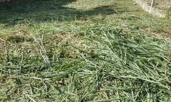 Imagem 2: TERRENO RESIDENCIAL em JAGUARIÚNA - SP, COLINAS DO CASTELO