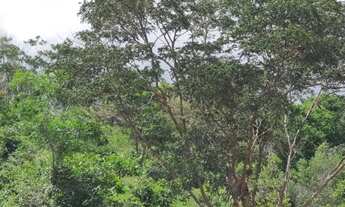 Imagem 6: Espetacular chácara de 15 mil metros