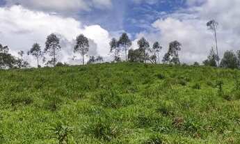 Imagem 5: 800m² para investimento em Piracaia