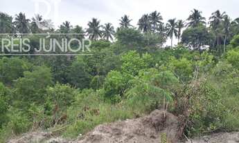 Imagem 6: Terreno escriturado, com 17 mil m², em Coqueiros de Arembepe