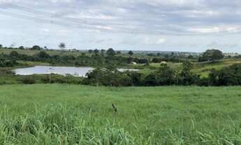 Imagem 2: Fazenda em Arapoema TO (Araguaína) 1.060 alqueirão formado em Pasto
