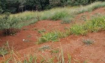 Imagem 5: CONTAGEM - Loteamento/Condomínio - Portal do Sol