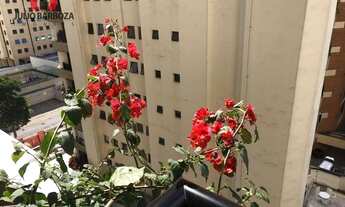 Imagem 3: Apartamento em Moema pássaros, com 1 domitório, 1 vaga de garagem