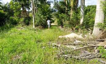 Imagem 3: Chacara 9.000m² São João do Itaperiú RS 350.000,00