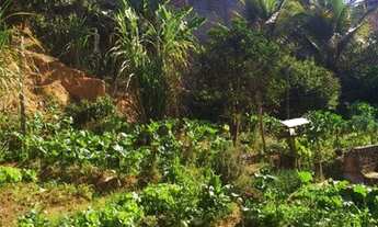 Imagem 4: Ponte Nova - Loteamento/Condomínio - São Geraldo