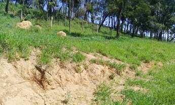 Imagem 4: AREA P/ DESDOBRO 2 ALQUEIRES - Moreiras Mairinque - Com 5 Chácaras de 10.000 m. quadrados