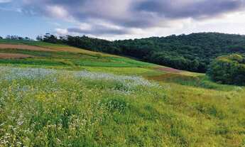 Imagem 7: Lote/Terreno para venda com 500 metros quadrados em Veloso - Osasco - SP
