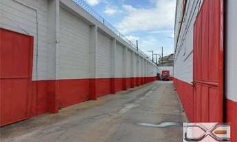 Imagem 5: Excelente Galpão Vila Matilde