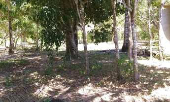 Imagem 5: Terreno com 2.700,00 m2 no Jambreiro em Caraíva