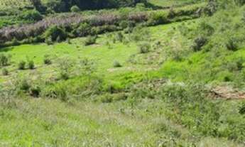 Imagem 6: Vendo meu terreno em Santa Isabel