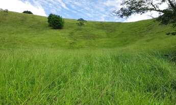 Imagem 7: Fazenda Oswaldo Cruz