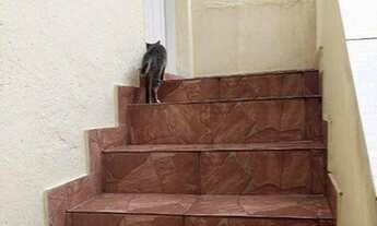 Imagem 3: Casa com 1 dormitório para alugar, 48 m² por R$ 700,00/mês - Vila Industrial - São Paulo/S