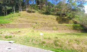 Imagem 5: Lotes no Cônego - Excelente topografia e localização