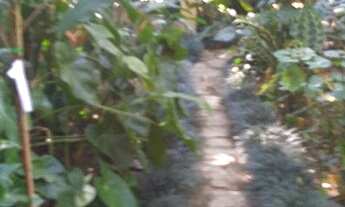 Imagem 5: Casa/Chácara - Estância Climática de Morungaba/SP/BR