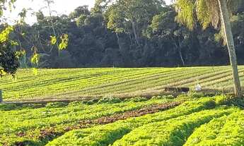 Imagem: Terreno em Ibiúna com Fácil Acesso a Capital
