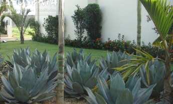 Imagem 7: Pirassununga - Terreno Padrão - Rosário