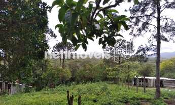 Imagem 7: Venda Lote-Área-Terreno Sambaqui Florianópolis