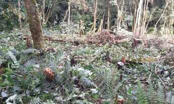 Imagem 4: Vende - se Sítio em Juquitiba