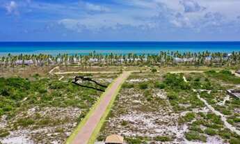 Imagem 6: Excelente Terreno - Praia das Tartarugas - Piscinas Naturais - 630 m² - Oportunidade