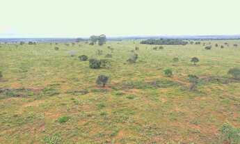 Imagem 5: Vendo Fazenda Cassilândia - MS