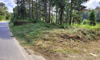 Imagem 6: São Lourenço da Serra - Terreno Padrão - Barrinha