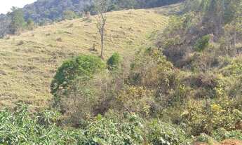 Imagem 6: Fazenda/Sítio/Chácara para venda possui 314600 metros quadrados com 2 quartos