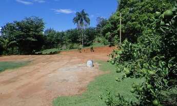 Imagem 7: Sítio S. Lz. Bro. - Morungaba