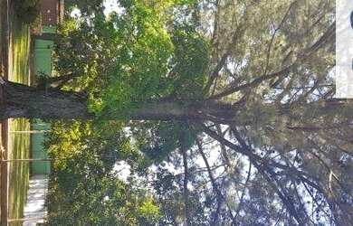 Imagem 3: Chácara com 3 dormitórios à venda, 2000 m² por R$ 800.000,00 - Vista Alegre - Santo Antôni