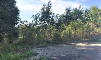 Imagem 6: Terreno a venda no Santo Antão!