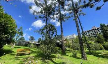 Imagem 3: Casa de alto padrão com 5 dormitórios à venda, 502 m² por R$ 3.500.000 - Fonte Simão - Cam