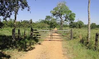 Imagem 2: SANTO ANTôNIO DO LEVERGER - Chácara - Zona Rural