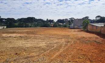 Imagem 7: Excelente área para indústria e logística em localização estratégica