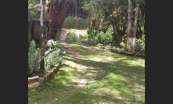 Imagem 4: Aluguel de uma chacara com contrato direto com proprietário