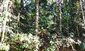 Imagem 6: Chácara Campo Largo -São Silvestre 2.594m² Registro Imóveis, 55Km Curitiba