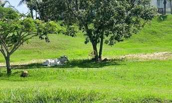 Imagem 6: Terreno à venda, 1350 m² por R$ 1.485.000,00 - Pacem - Cuiabá/MT