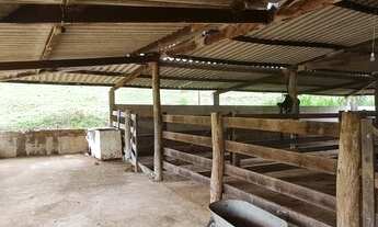 Imagem 4: Próximo a Taguatinga localização privilegiada 1500m de chão chácara 2 alqueires escritura