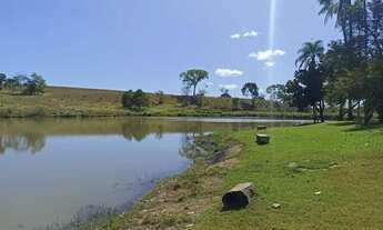 Imagem: Fazenda na região de Hidrolândia - GO